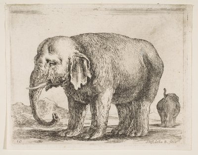 Plate 10: elephant, from Various animals Diversi animali, ca. 1641 by Stefano della Bella