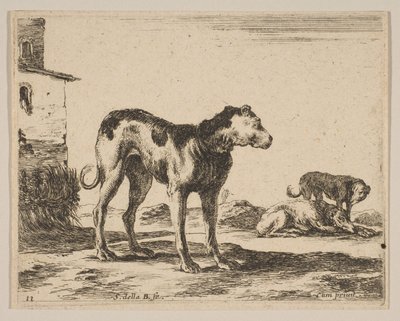 Plate 11: dogs, from Various animals Diversi animali, ca. 1641 by Stefano della Bella