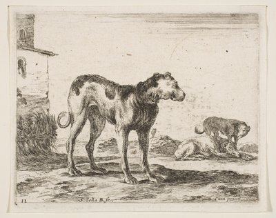 Plate 11: Dogs, from Various Animals, ca. 1641 by Stefano della Bella