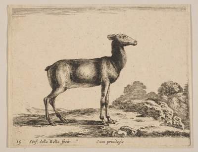 Plate 15: Doe, from 
