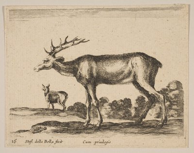 Plate 16: stag, from Various Animals, ca. 1641 by Stefano della Bella