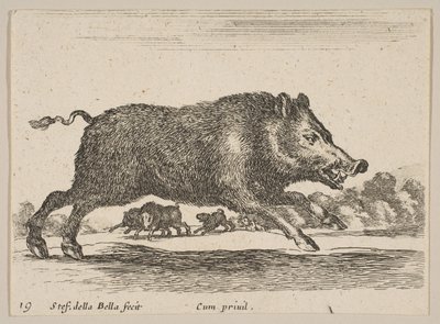 Plate 19: Wild Boar, from Various Animals by Stefano della Bella
