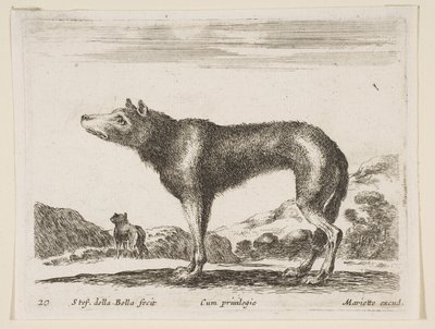 Plate 20: Wolf, from Various Animals by Stefano della Bella