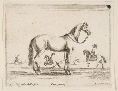 Plate 21: Horse, from Various Animals by Stefano della Bella