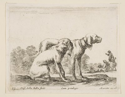 Plate 23: Two Hounds, from Various Animals by Stefano della Bella