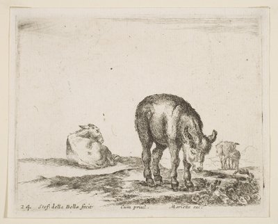Donkeys, from Various Animals, ca. 1641 by Stefano della Bella