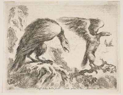 Plate 2: Eagle and Eaglet, from Various Animals by Stefano della Bella