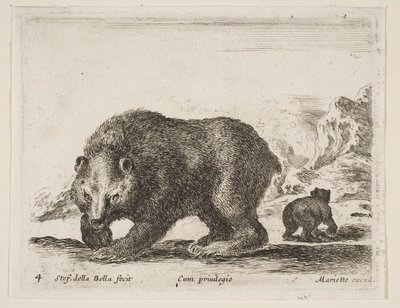 Plate 4: bear, from 