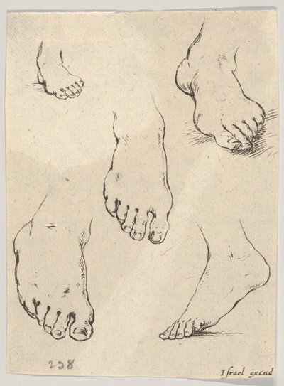 Plate 7: Five feet, from The Book for Learning to Draw by Stefano della Bella