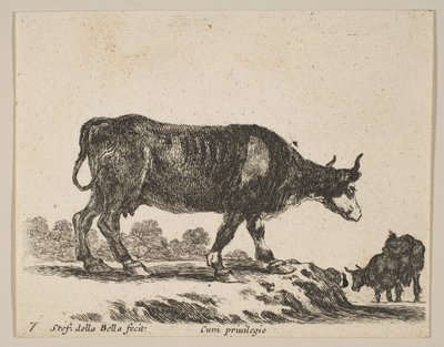 Cow, from Various Animals by Stefano della Bella