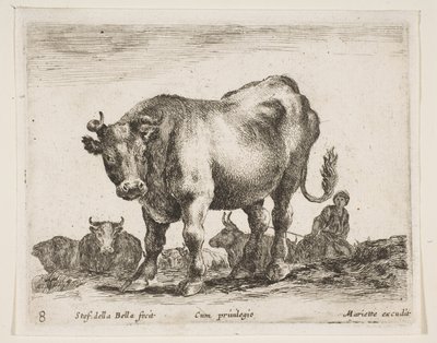 Plate 8: cow, from Various animals Diversi animali by Stefano della Bella