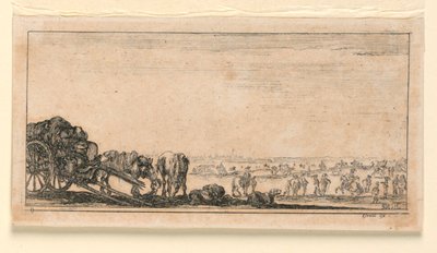 Plate 8, from 