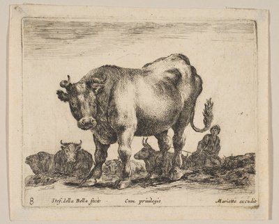 Plate 8: Ox, from 