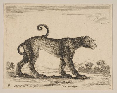 Leopard, from Various Animals (Diversi Animali) by Stefano della Bella
