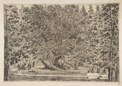 The Tree House at Pratolino by Stefano della Bella