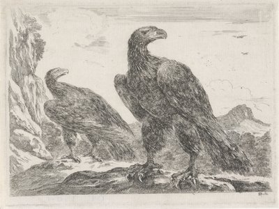Two Eagles with Heads to the Right by Stefano della Bella