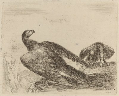 Two Eagles on a Promontory by Stefano della Bella