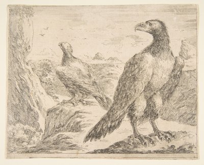Two eagles, from Eagles Les aigles by Stefano della Bella