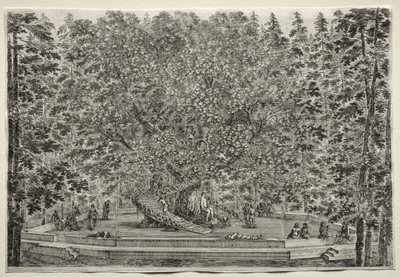 Views of the Villa of Pratolino: The Inhabited Tree by Stefano della Bella