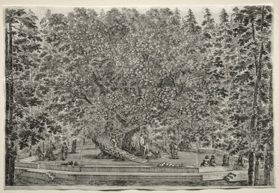 Views of the Villa of Pratolino: The Inhabited Tree by Stefano della Bella