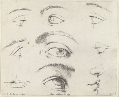 Seven Eyes, Two Mouths, and a Nose (The Principles of Drawing) by Stefano della Bella