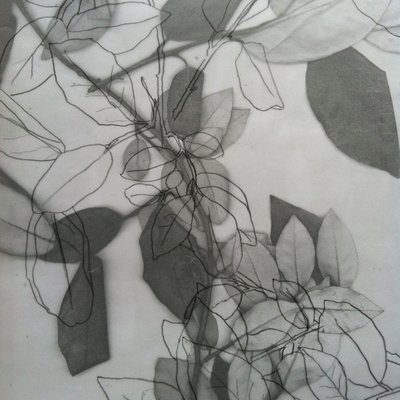 Botanical by Stephen Dow
