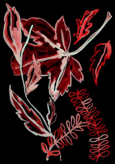 Night Flora I by Stephen Dow