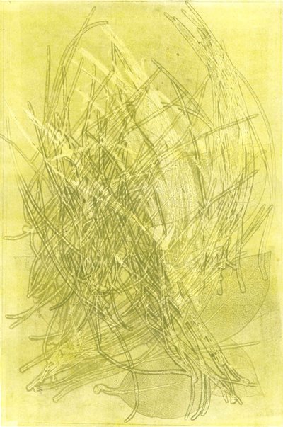 Summer Garden V by Stephen Dow