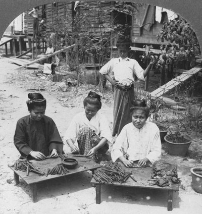Making the Huge Cigars Smoked by Women, Burma, 1908 by Stereo Travel Co