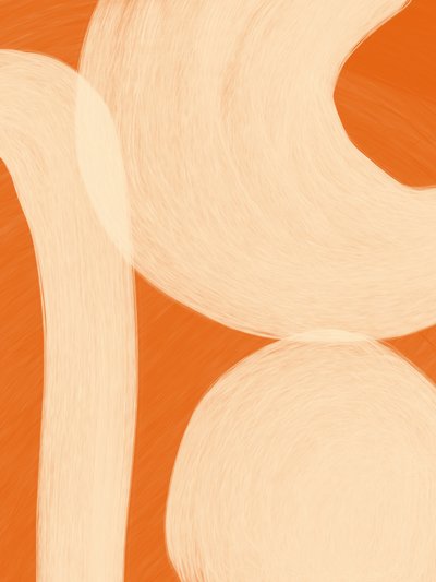 Soft Organic Shapes by Studio Palette
