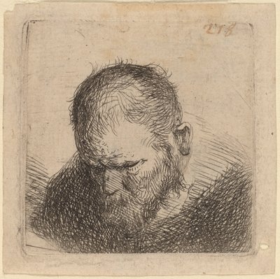 Bearded Man Looking Down by Studio of Rembrandt van Rijn