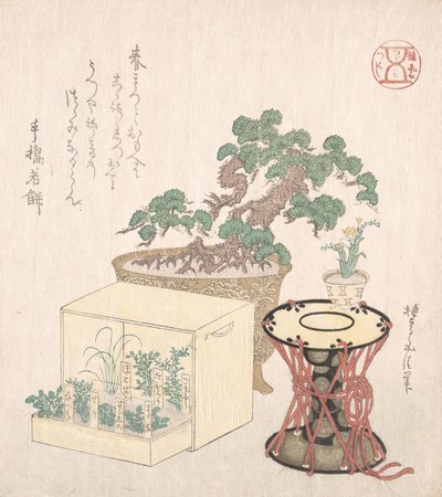 Potted Pine Tree, Drum and Seven Herbs Planted in a Box, 18th-19th century by Sunayama Gosei