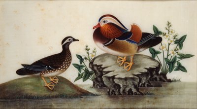 Two Ducks and Flowering Water Plants by a Pond by Sunqua