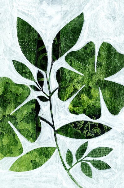 Botanical Leaf Study by Susan Black