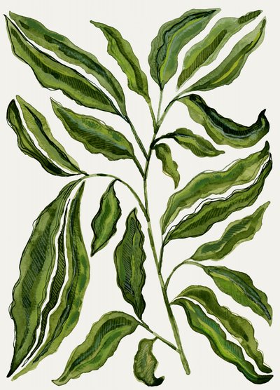 Organic Green Leaves by Susan Black