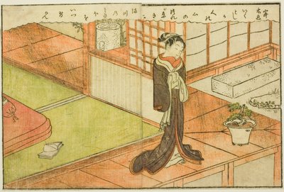 Double-page Illustration from Vol. 2 of "Picture Book of Spring Brocades" by Suzuki Harunobu