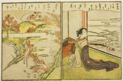 Pages from Vol. 1 and 2 of 
