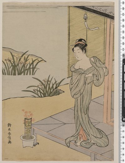 Young Woman Looking at a Pot of Pinks by Suzuki Harunobu