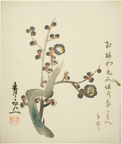 Blossoming Red Plum Branch by Suzuki Kiitsu