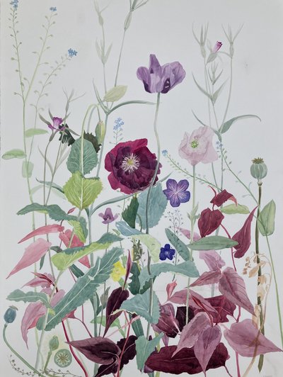 Garden Flowers, June, 2025 by Suzy Fasht