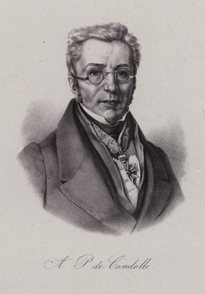 Augustin Pyramus de Candolle, Swiss botanist by Swiss School
