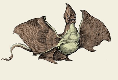 Fantastical Sea Monster, illustration from 