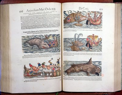 Jointing a whale and whaling, from Appendix historiae quadrupedum, viviparorum et ovipororum by Conrad Gesner, 1554 by Swiss School