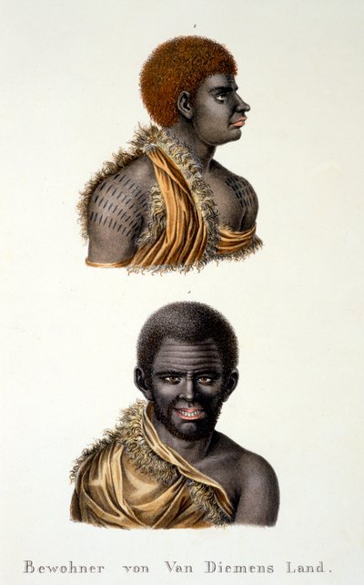 Natives of Van Diemans Land, ie. Tasmania, from Ethnological Study of Various Racial Types from Various Continents, by C.I. Brodtmann, 1824 by Swiss School