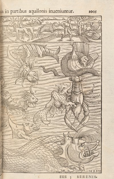 Page 1005 from Cosmographiae Universalis by Sebastian Muenster, Basel, 1572 by Swiss School