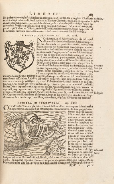 Page 983 from Cosmographiae Universalis by Sebastian Muenster, Basel, 1572 by Swiss School