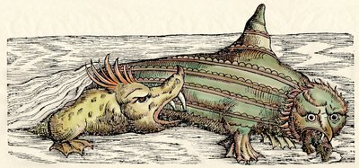 Sea Creatures, Illustration from 