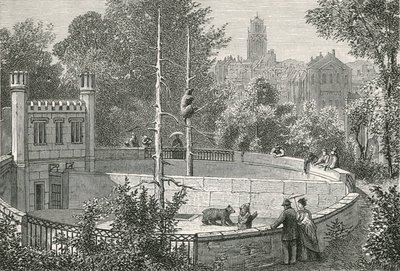 The Bear-Pit at Bern by Swiss School