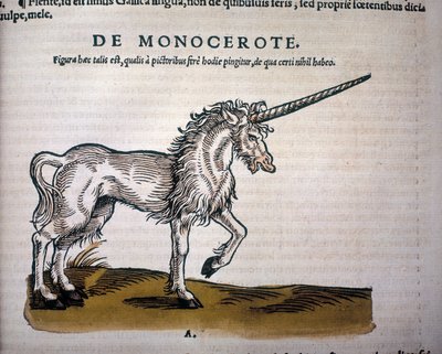 Unicorn, illustration from 