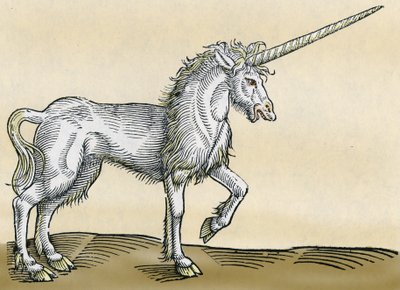 Unicorn, illustration from Historiae Animalium by Conrad Gesner, 1551 by Swiss School